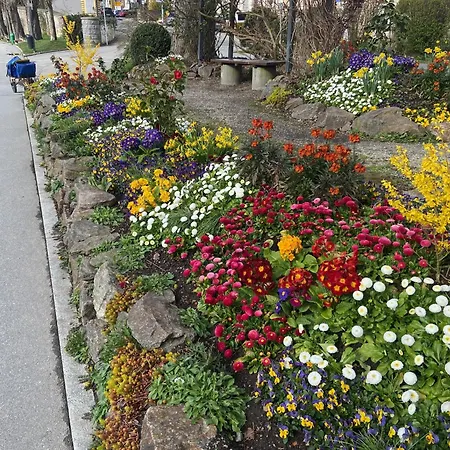 Neues Haus - Berggasthof Und Hotel 3*