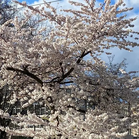 Neues Haus - Berggasthof Und Oberwiesenthal