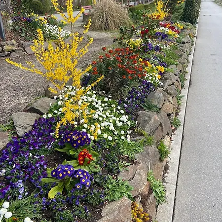 Neues Haus - Berggasthof Und ホテル 3*