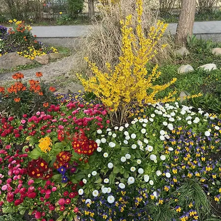 Neues Haus - Berggasthof Und 3* Oberwiesenthal