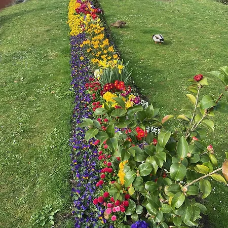 Neues Haus - Berggasthof Und Hotel Oberwiesenthal