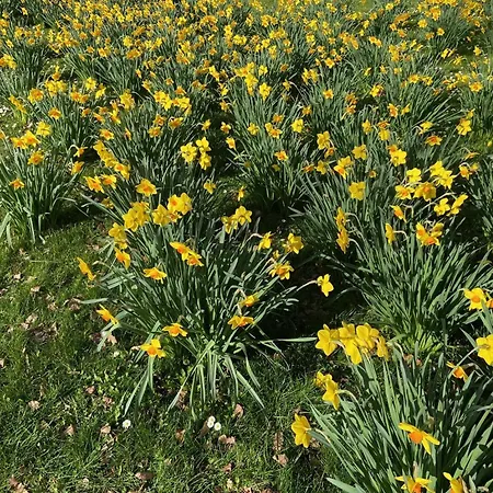 Hotel Neues Haus - Berggasthof Und