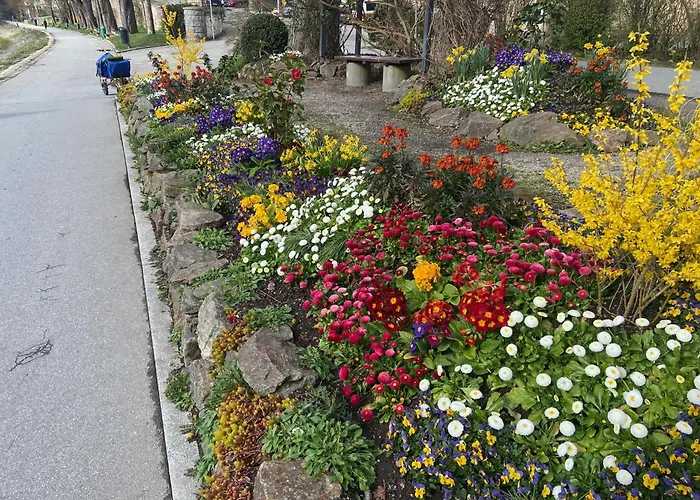 Neues Haus - Berggasthof Und Hotel 3*
