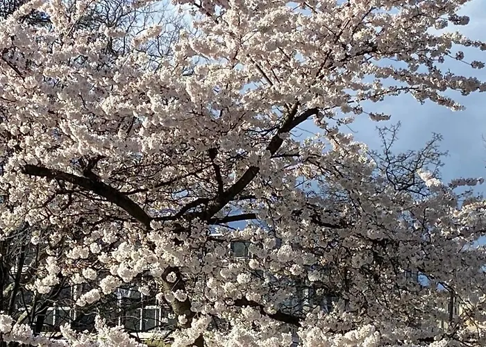 Neues Haus - Berggasthof Und Oberwiesenthal