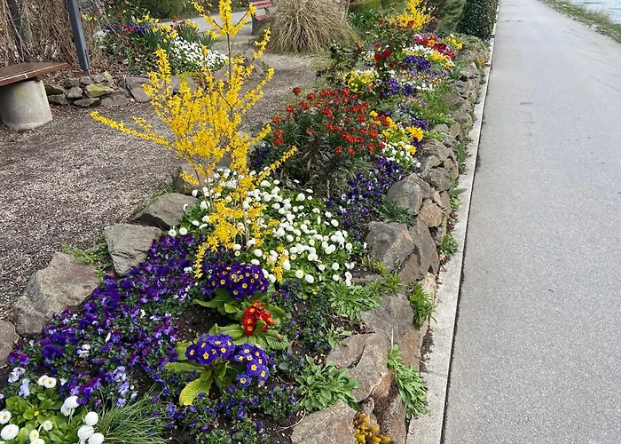 Neues Haus - Berggasthof Und 酒店 3*