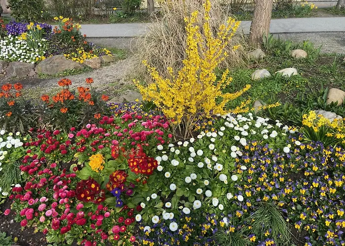 Neues Haus - Berggasthof Und 3* Oberwiesenthal