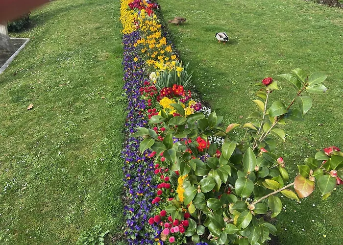 Neues Haus - Berggasthof Und Hotel Oberwiesenthal