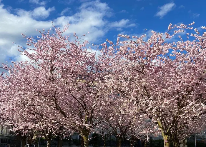 Neues Haus - Berggasthof Und