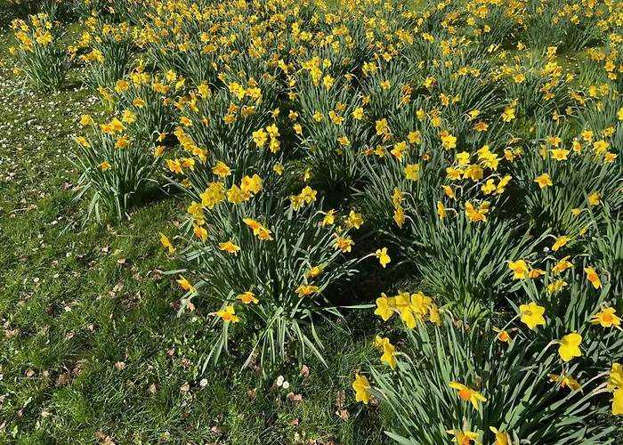 Hotel Neues Haus - Berggasthof Und